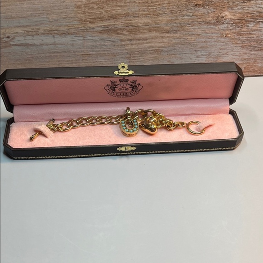 RARE Vintage 2008 Juicy Couture Charm Bracelet Chunky Toggle 14k plated